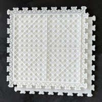 Piso de Patinaje sobre Hielo Transparente Blanco de HDPE Readygo, Baldosas para Pista de Hockey, Baldosas de PP para Pista de Patinaje, Baldosas para Exteriores