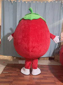 Giant Cartoon <strong>Tomato</strong> Mascot <strong>Costume</strong> - Perfect for Events and Promotions - Product Image 5