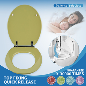 Modern Round MDF <strong>Toilet</strong> <strong>Seat</strong> <strong>Quick</strong> <strong>Release</strong> Soft Close Model, Glossy Avocado Green Paint Wood <strong>Toilet</strong> Cover - Product Image 2