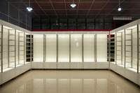 Meuble de présentation pour magasin de détail, design d'intérieur de boutique, vitrine murale, présentoir pour parfums et cosmétiques avec éclairage LED
