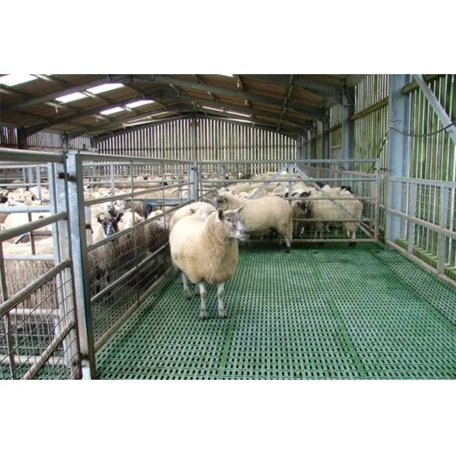 中国プレハブ鉄骨構造ヤギ農場羊小屋