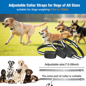 Usine En Gros Visible Électrique Filaire Extérieur Clôture de Chien TZ-861 - Product Image 4