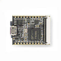 Placa de Desarrollo Lichee Nano F1C100S Serie Lichee Pi con 32MB de Memoria DDR1 para Aprendizaje y Programación Linux, 25.4x33mm