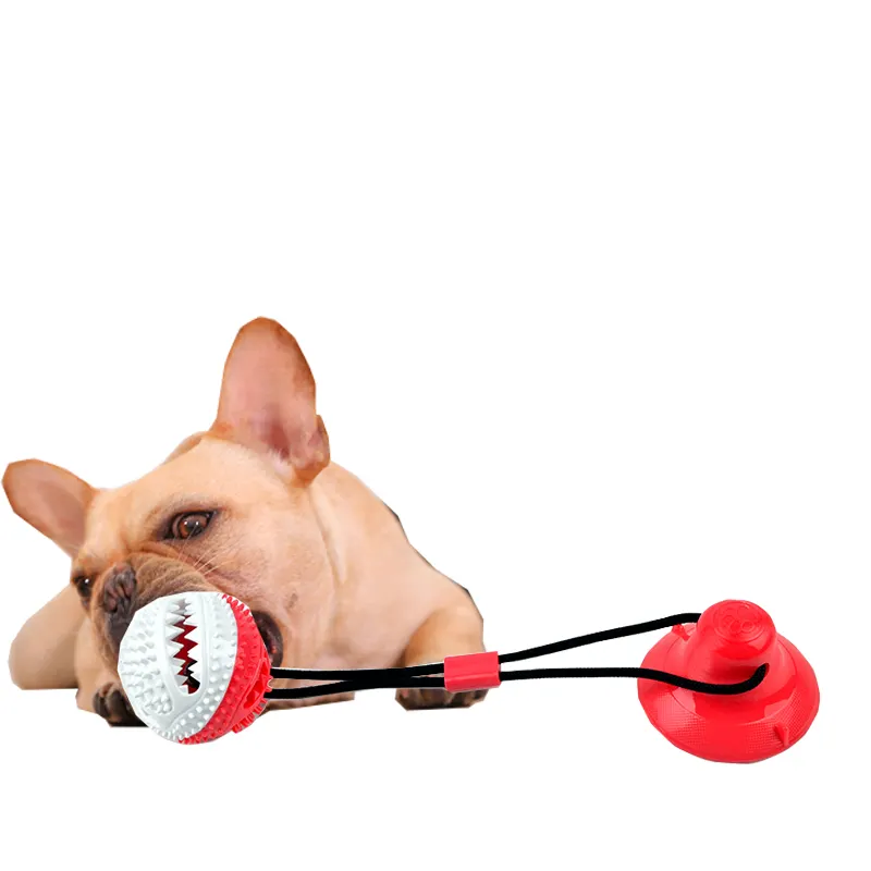 निर्माण टिकाऊ पालतू दाढ़ काटने दांत कुत्ते सफाई खिलौना के साथ TPR सक्शन कप