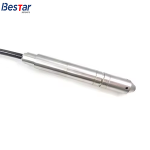 Sensor de Nivel de Agua de Diámetro Pequeño de 13 mm OEM, Sensor de Nivel de Pozo Profundo de 300 m para Medición de Nivel de Líquido en Pozos Profundos - Product Image 1