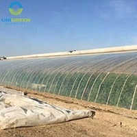 Serre agricole à portée unique Bon marché Durable culture hydroponique Cadre galvanisé Tunnel Film plastique Serre