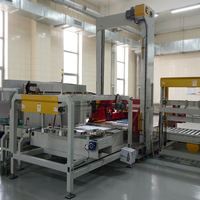 Palettiseur à portique basse intelligente, palettiseur automatique pour cartons/caisses, palettiseur à portique basse personnalisé