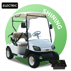 Carrito de <span class=keywords><strong>Golf</strong></span> Eléctrico Shininglsv en Venta, Carrito de <span class=keywords><strong>Golf</strong></span> Barato de 2 Plazas, Carrito de <span class=keywords><strong>Golf</strong></span> con Motor Inteligente - Product Image 1