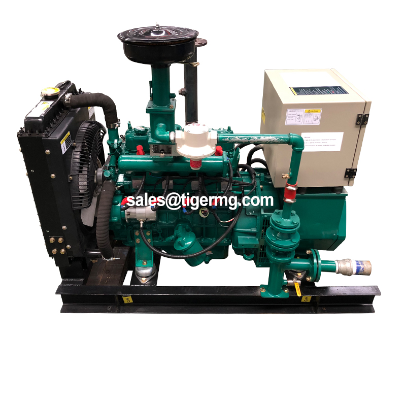 biomass gasifier generator