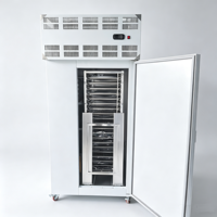 Bakkerij Gebruik Plaatvriesmachine -60°C Luchtkoeling Automatische Snelvriesmachine PLC-besturing 220V/240V/380V Spanningsopties