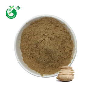 Bột Chiết Xuất Từ Hạt Xoài Tự Nhiên Giá Tốt - Product Image 1