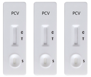 Kit porcin d'essai rapide d'anticorps de Circovirus 2 La quantité d'anticorps à tous les types de PCV2 actuels dans le sérum porcin est mesurée - Product Image 2