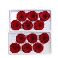 Fabrieksgroothandel Ge conserveerde Rozenkoppen 5-6cm 6 stuks Natuurlijke Verse Rozen Bruiloft Aandenkens Langdurig 3-5 Jaar Echte Aanraking Bloemen
