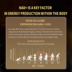 תוסף NAD+ טהור בעל עוצמה גבוהה ביותר וספיגה מקסימלית, 1000 מ\\\"ג, אנרגיה ותיקון DNA, תפקוד מוחי - Product Image 5