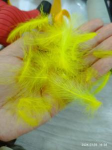 Plumes de canard <span class=keywords><strong>CDC</strong></span> pour la pêche à la mouche, plumes de cul de canard hydrofuges, glandes vertes de canard, plumes de cul, matériel de montage de mouches sèches - Product Image 6