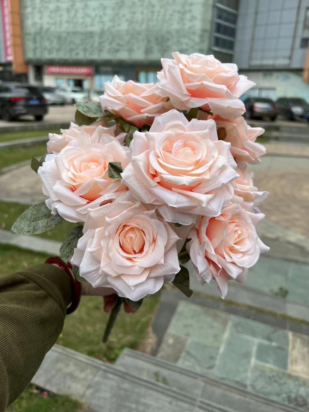 9 têtes de poudre de viande rose diamant