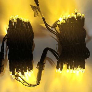 Fournisseur professionnel 220V économie d'énergie résistant à la glace câble en caoutchouc <span class=keywords><strong>guirlande</strong></span> extérieure décoration de fête LED <span class=keywords><strong>guirlande</strong></span> <span class=keywords><strong>lumineuse</strong></span> féerique - Product Image 4