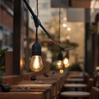TOPREX Décor E14 Base Ampoule LED Meilleure qualité 3500K 2700K 4W 2W Verre clair avec S14 Edison Filament CE AC Cri 95 Entrée 220V