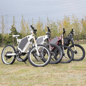 แผ่นดิสก์เบรกหลังแบบปรับได้203เมตรหน้าจอแสดงผลพลังงานพร้อมจอแสดงผล LCD ไขมันไฟฟ้าสิ่งสกปรก BOMBER E E BIKE kke DNM - Product Image 6