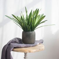 Daun Anggrek Cymbidium Plastik Berkualitas Tinggi, Tanaman Mini dalam Pot, Daun Phalaenopsis Sentuhan Asli, Dekorasi Natal