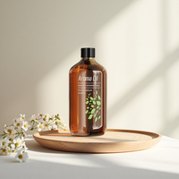 Diffuseur d'huile essentielle naturelle 500ML Parfum longue durée Équipements d'hôtel pour usage domestique Usine-Vente en gros directe