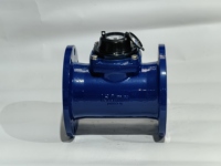 Compteur d'eau à aubes spirales détachables en fonte Chen Shuo, raccord à bride, faible consommation d'énergie, protection contre les surcharges, OEM/ODM