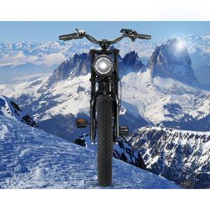 Vélo Hybride pour Adulte, <span class=keywords><strong>20</strong></span> <span class=keywords><strong>Pouces</strong></span>, Gros Pneu, 500/750/48V, Acier, Amovible, pour Adulte - Product Image 4