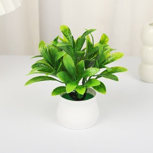 <span class=keywords><strong>Pot</strong></span> de Plante Artificielle d'<span class=keywords><strong>Intérieur</strong></span>, Décoration de Maison, Petit Bonsaï, Feuilles d'<span class=keywords><strong>Eucalyptus</strong></span>, Accessoires de Décoration Festive, Pots Décoratifs - Product Image 5