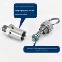 Soupape de décharge de pression à ressort en acier inoxydable 304, filetage mâle, pour compresseur d'air, autocuiseur, à dégagement rapide et automatique
