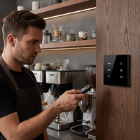 Amplificateur audio mural Zhiku Home 2.0 canaux en plastique avec prise en charge USB/carte SD, lecteur de son stéréo standard 86, pour maison intelligente et son d'ambiance