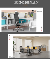 Nouveau modèle de chaise de bureau ergonomique pivotante en maille, dossier haut, pour cadres, chaises de bureau pour adultes, fabricant de chaises Office Star
