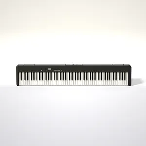 Hot selling Hammer action piano Bora BX5 88 most popular piano professional and perfect keyboards with high quality stereo