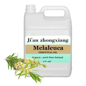 Wholesale Skin Care Essential Oils Organic 100% Pure Strech Marks Melaleuca Essential Oil FRO Body Care
