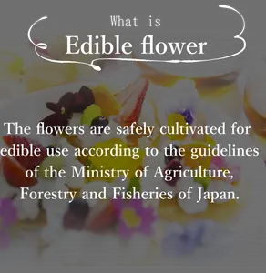 اليابانية عالية الجودة بالجملة زهرة مجففة للأكل للكعك