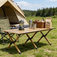 Table de camping pliable en acier carbone, tables pliantes pour les voyages en plein air, barbecue, table pliable portable pour le camping et le pique-nique