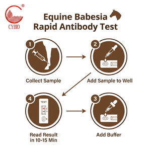 Kit rapide certifié ISO13485 pour la détection des anticorps Babesia équine <span class=keywords><strong>de</strong></span> haute précision, E.Babesia Ab Colloidal Gold, 1 test ou 25 tests - Product Image 3
