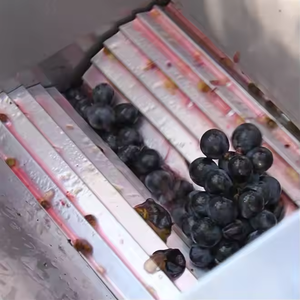 Broyeur à pommes en acier inoxydable à manivelle, construction robuste pour la fabrication de <span class=keywords><strong>cidre</strong></span> à long terme - Product Image 5