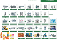 Verse Sap Verwerking Lijn Plant/Sap Productie Machines/Vruchtensap Apparatuur Voor Verkoop