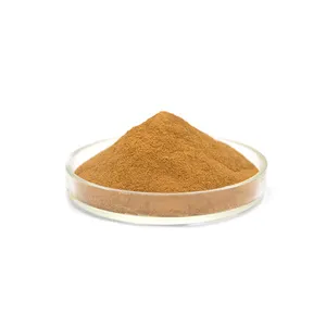 Manufacturer Rosemary Extract Rosmarinic Acid 98% Powder Herbal 20% Bulk Rosmarinic Acid