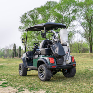 Productos Más Vendidos, Carro de Golf para 2 Personas con Pantalla Multimedia de 12 Pulgadas, Diseño Humanizado, Conducción Cómoda - Product Image 4
