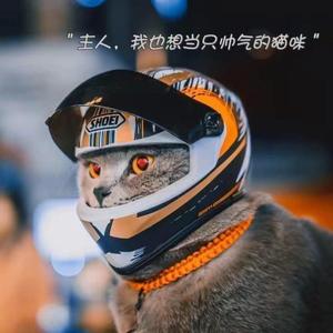 <span class=keywords><strong>Casque</strong></span> de moto pour chat en ABS, état neuf, jouet pour chaton inspiré du <span class=keywords><strong>casque</strong></span> de moto - Product Image 3