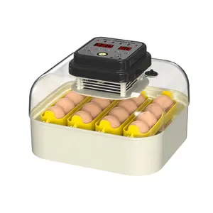 New arrive full automatic 16 chicken eggs mini solar egg incubator for family use