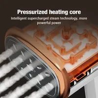 Défroisseur Vapeur Portatif 1000W avec Poignée Pliable, Mini Fer Électrique pour Maison et Voyage, Machine à Repasser Vêtements Humides et Secs