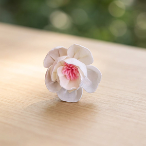 Wholesale 5 cm Sola Wood Artificial Dried <b>Reed</b> <b>Diffuser</b> White Environmental Friendly Elegant Wedding Decorative Flowers Plants - Product Image 3