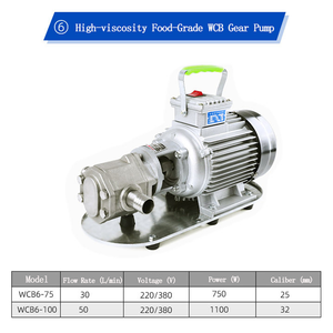 Pompe à engrenages industrielle de qualité alimentaire QY pour une remise de prix fiable de transmission d'huile comestible - Product Image 2