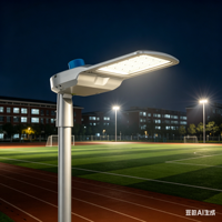 Lampadaire LED CHZ ST29B 100-277V IP66 IK09 Garantie 5 ans 5050 Projet Industriel