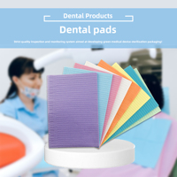 Baberos Dentales Desechables de 3 Capas, Impermeables, Suministros Médicos con Certificación CE ISO, Cubierta para Bandeja Dental, Cubierta para Mesa de Manicura para Dentistas