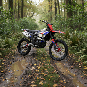 Motocicleta Todoterreno de Gasolina para Adultos BAR CQR PR300F GX G <span class=keywords><strong>X</strong></span> Two-<span class=keywords><strong>CB300</strong></span>, 300cc, Monocilíndrica, Cuatro Tiempos, Refrigeración por Agua, >80km/h - Product Image 6