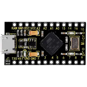 Pro Micro ATMEGA32U4-MU 5V 16MHZ Développement pour Arduino Pro Micro
