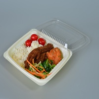Boîte à lunch en plastique jetable gaufrage pour fournitures de restaurant-Blister emballage plateau récipient alimentaire pour nouilles Sushi sucre